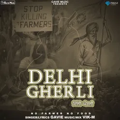Delhi Gherli