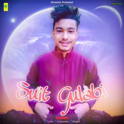 Suit Gulabi