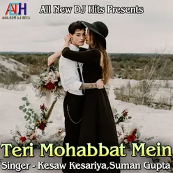 Teri Mohabbat Mein