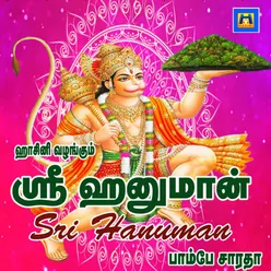 Sri Hunuman