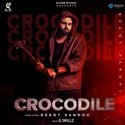 Crocodile