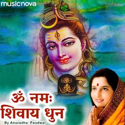 Om Namah Shivaya By Anuradha Paudwal