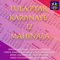 Tula Pyar Karanaye 12 Mahinala