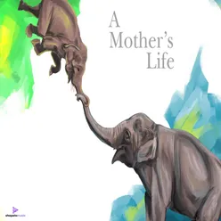 A Mother'S Life