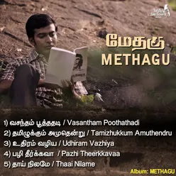 Methagu