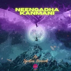 Neengadha Kanmani (A Redux Reprise)