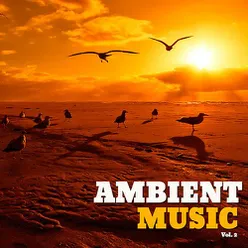 Ambient Music, Vol. 2