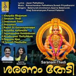 Saranam Thedi