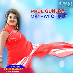 Phul Gunjbo Mathay Chule