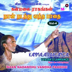 Mega Vandiyil