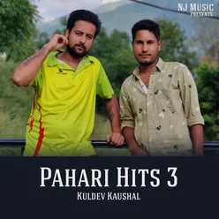 Pahari Hits 3