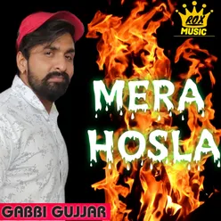 Mera Hosla