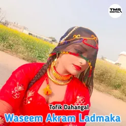 Waseem Akram Ladmaka
