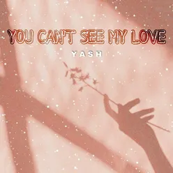 You Can't See My Love