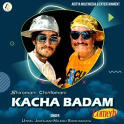 Kacha Badam-Hindi