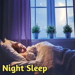 Night Sleep Track 6