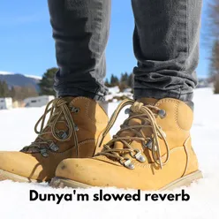 Dunya'm slowed reverb