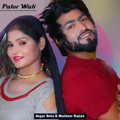 Palor Wali