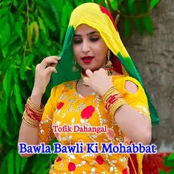 Bawla Bawli Ki Mohabbat