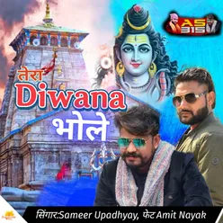 Tera Diwana Bhole (feat. Amit Nayak)