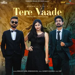 Tere Vaade