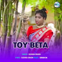 Toy Beta