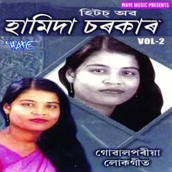 Hits Of Hamida Sarkar Vol-2