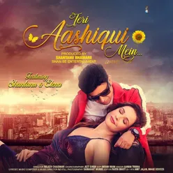 Teri Aashiqui Mein