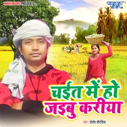 Chait Me Ho Jaibu Kariya