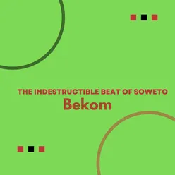 The Indestructible Beat of Soweto