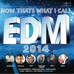 Now That's What I Call Edm 2014