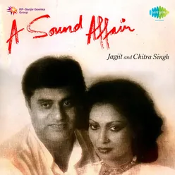 A Sound Affair Jagjit And Chitra Singh