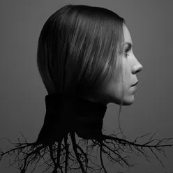 Skylar Grey