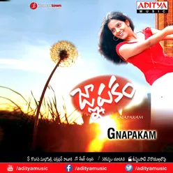 Gnapakam