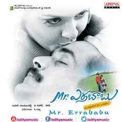 Mr.Errababu