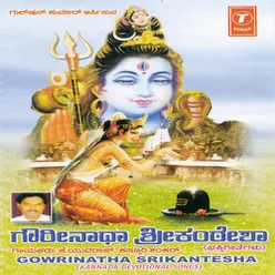 Gowrinatha Srikantesha