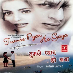 Sanam Tere Pyar Mein