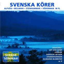 En sommarafton (Över skogen, över sjön)