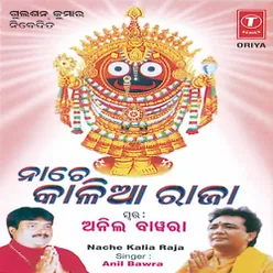 Om Jai Jagannath