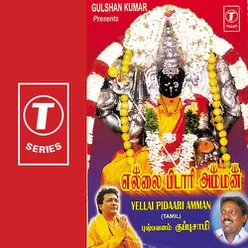 Vaanathai