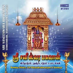 Sri Saneeswara Bhagavan Sthothram - Ashtothram And  Songs