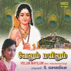 Vaidheeswaran