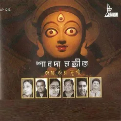 Aami Sakal Bedona