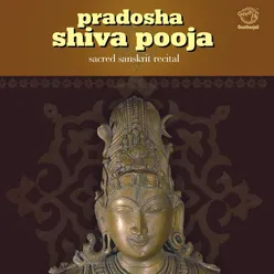 07 Anga Pooja - Pradosha Shiva Pooja