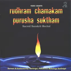 03 - Purusha Suktam