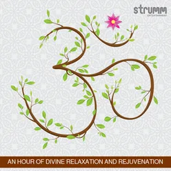 Om - Part 3 - for Rejuvenation and Bliss