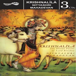 Krishna Leela Vol 1