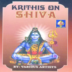 Kritis On Shiva