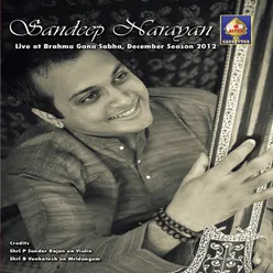 Sandeep Narayan - Live At Brahma Gana Sabha December Season 2012