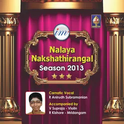 Nalaya Nakshathirangal - Season 2013 - Anirudh Subramanian